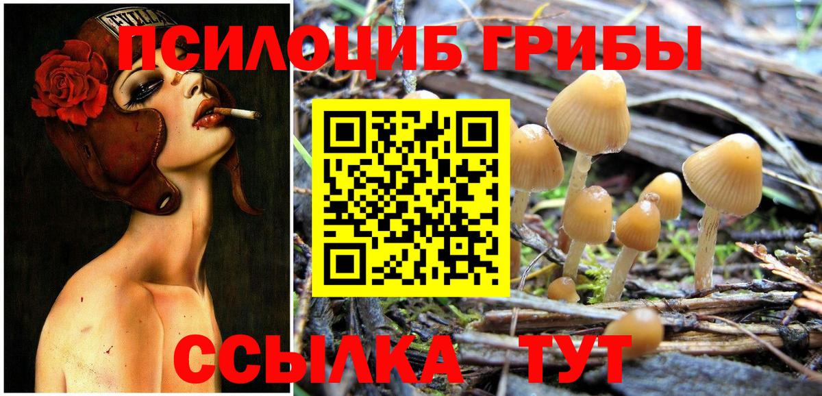 Псилоцибиновые грибы ЛСД Кизляр