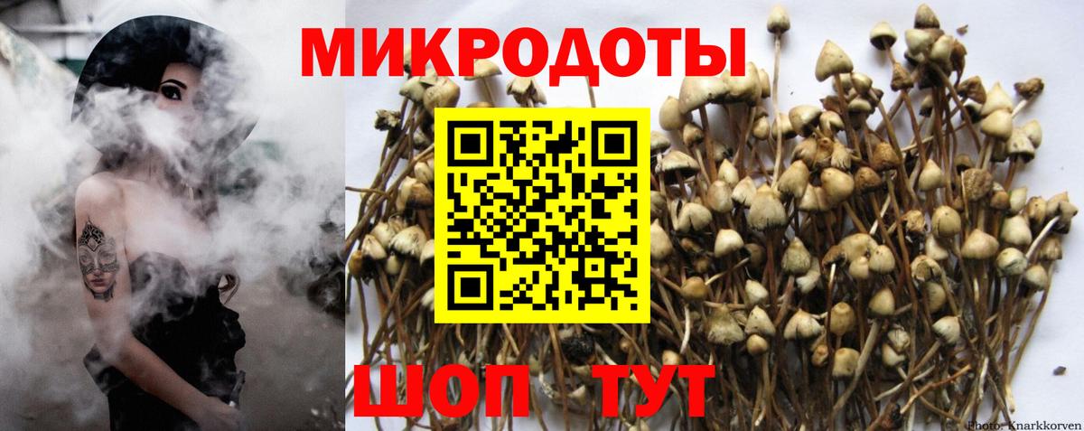 Псилоцибиновые грибы Psilocybine cubensis  Вход с VPN  Псилоцибиновые грибы Cubensis  Кизляр 